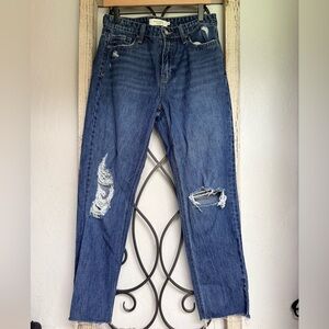 Hidden Los Angeles | High Waisted Distressed Blue Jeans | Size 26